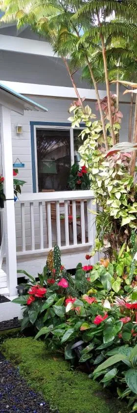 Paradise Cottage at Anthurium Hale，位于希洛的酒店