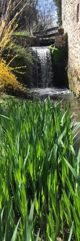 Ancien moulin du 18 ieme，位于Assé-le-Riboul的酒店