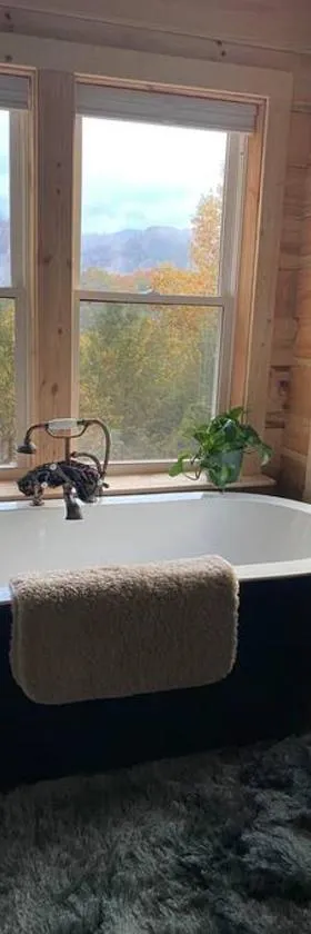 Cabin with a view in Hot Springs—walk to AT，位于Hot Springs的酒店