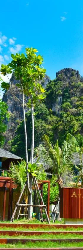 Avatar Railay，位于莱利海滩的酒店