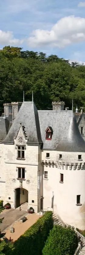 Château de Chissay，位于齐塞恩·都兰的酒店