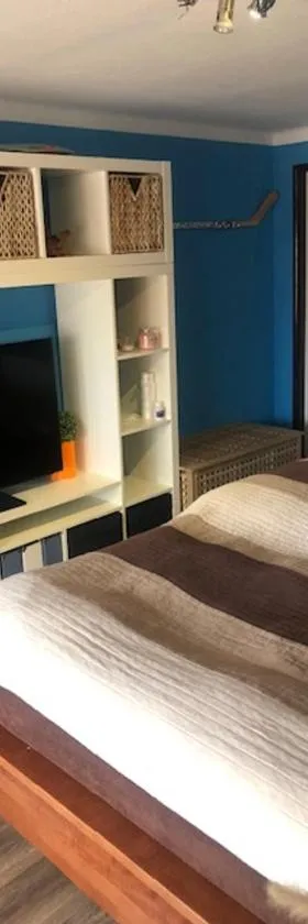 Apartmán Skvělá Nálada，位于Všemyslice的酒店