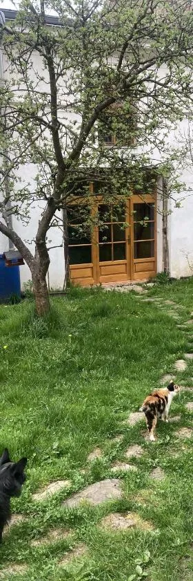 Staré děkanství，位于Úterý的酒店