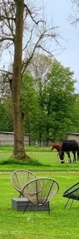Gite Haras du Bois de Formerie，位于Formerie的酒店