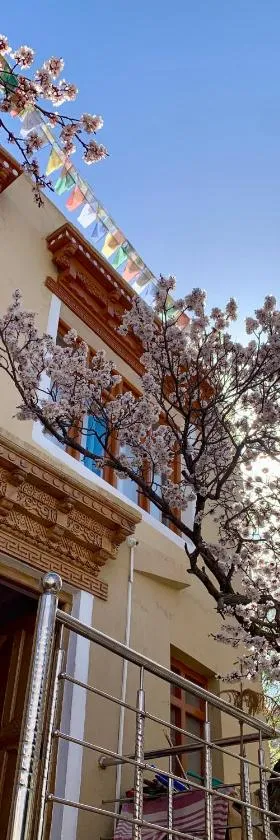 Gaywoo Guest House，位于列城的酒店