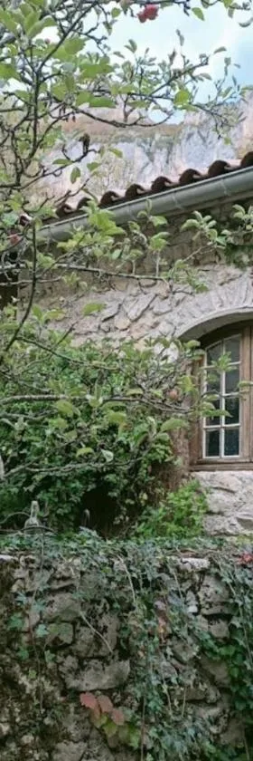 La Maisonnette d'Archiane，位于迪瓦地区沙蒂隆的酒店
