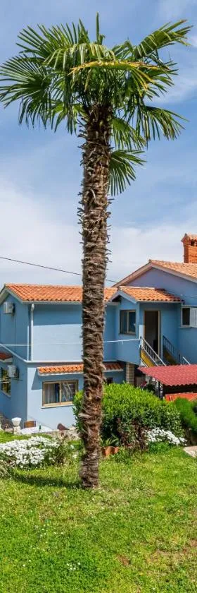 Apartments with a parking space Brsec, Opatija - 7796，位于Martina的酒店