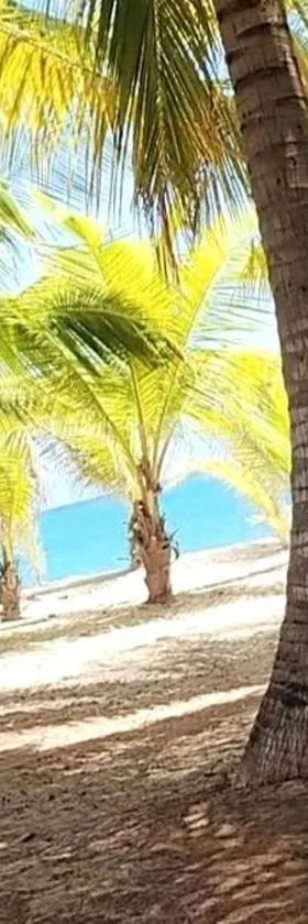 Ocean Motion Rental Casa en la playa con piscina cerca Yunque y VSjuan，位于Loiza的酒店