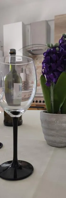 Apartmani Žak，位于普里德拉加的酒店
