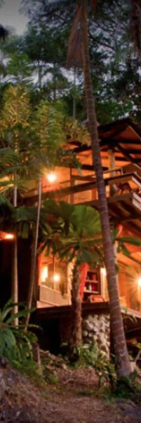 Currumbin Rainforest Treehouse，位于Currumbin Valley的酒店