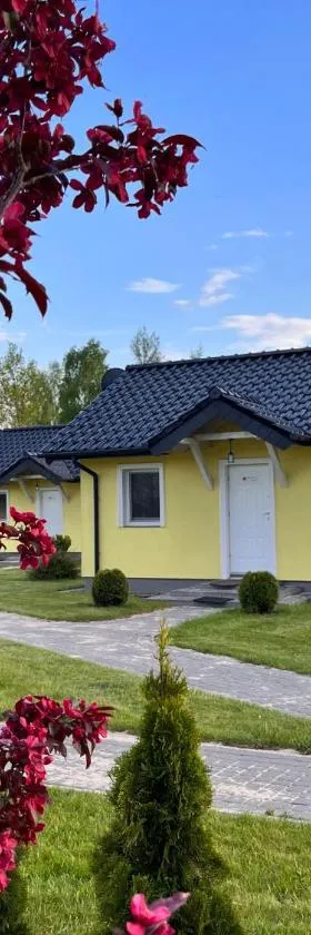 Brzozowy Zakątek，位于达布基的酒店