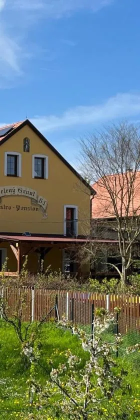 Apart Pension Zelený grunt，位于Dřínov的酒店