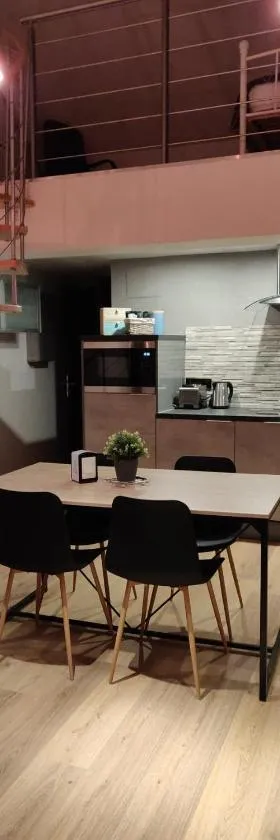 Le business, duplex moderne special PRO de passage，位于萨尔格米纳的酒店