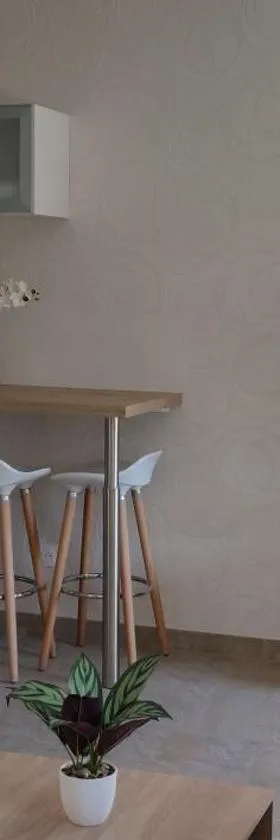 Le Cygne, appartement de standing en hyper-centre，位于萨尔格米纳的酒店