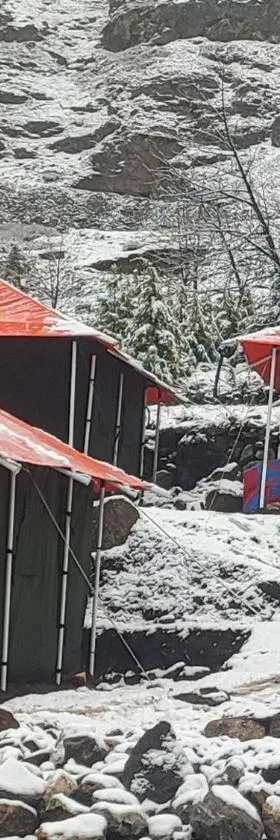 Buddy Hikers Stay Badrinath，位于巴德里纳特的酒店