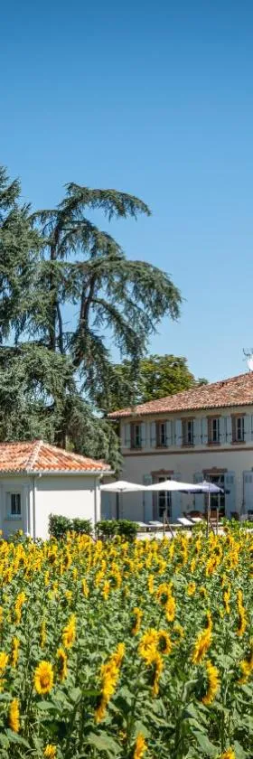 Gite ANDA- piscine- Montauban - Lacourt-Saint-Pierre，位于Lacourt-Saint-Pierre的酒店