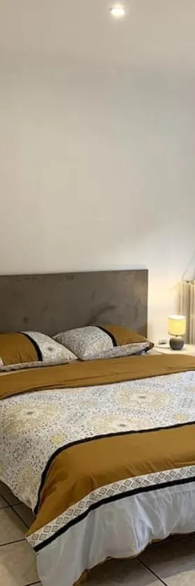 Appartement cosy Lons - Montmorot，位于Montmorot的酒店