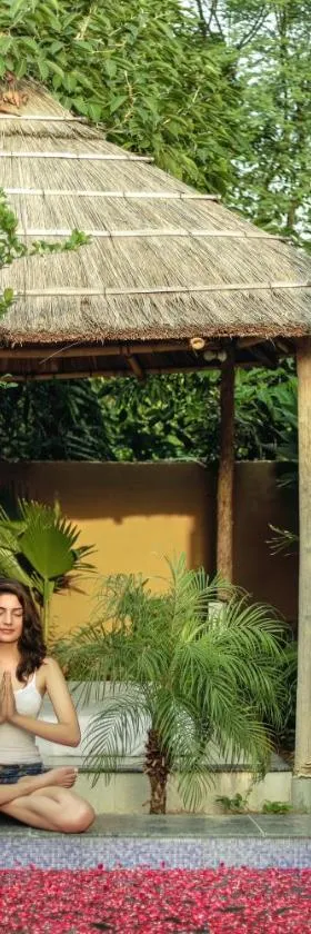 Nature Village Resort，位于布什格尔的酒店