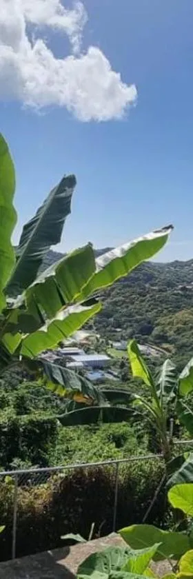 Tranquility with Stunning View，位于Morne Jaloux Ridge的酒店