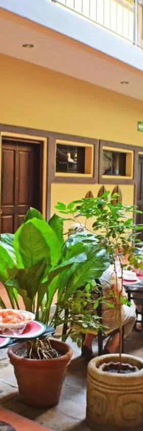 Hotel Los Balcones de Chinandega，位于奇南德加的酒店