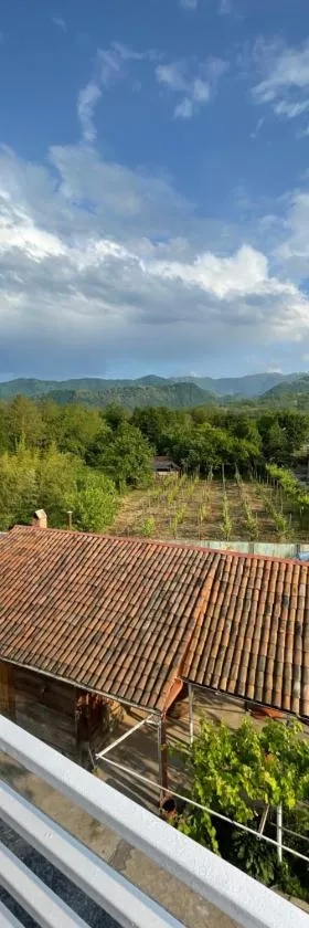 Zaali's wine cellar，位于Vani的酒店