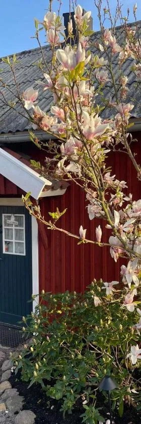Fogdarps B&B -Eget gästhus-，位于Förslöv的酒店