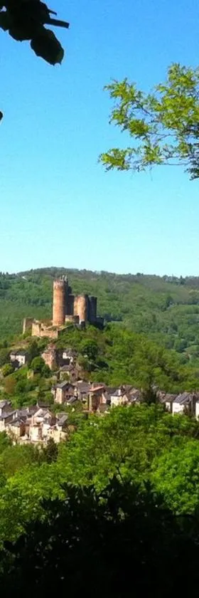 Chambre d hôtes avec 2 petits déjeuners ou Gîte，位于纳雅克的酒店