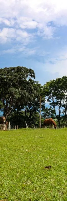 Sitio SMC - 15 min do centro de Altinópolis，位于阿尔蒂诺波利斯的酒店
