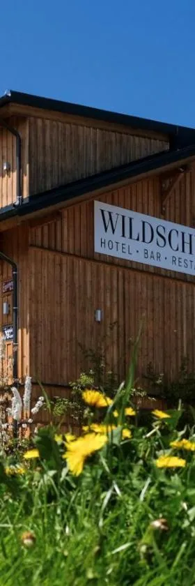 Aktivhotel Wildschütz，位于格蒙登的酒店