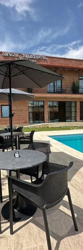 Giorgi Ushikishvilis Chateau-Marani，位于Akhmeta的酒店