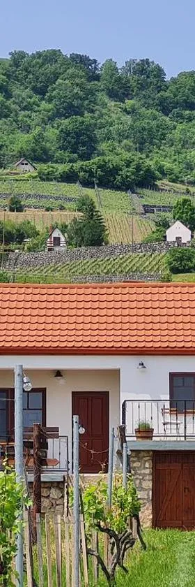 Jera Pince és Vendégház，位于Somlóvásárhely的酒店