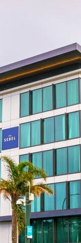 The Sebel Wellington Lower Hutt，位于下哈特的酒店