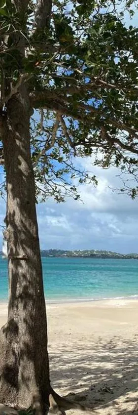 Beach Villa，位于Five Islands Village的酒店