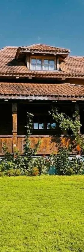 Rustic House Radovic，位于Knić的酒店
