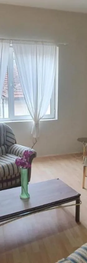 Aleksinac Centar Two-Bedroom Apartment，位于阿莱克西纳茨的酒店