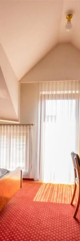 Hotel Post Viernheim，位于菲尔恩海姆的酒店
