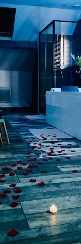 La Bulle de Romance - Love Room，位于Tigy的酒店
