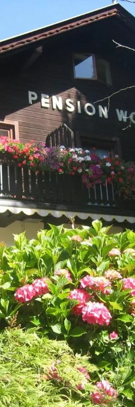 沃尔夫旅馆，位于奥西亚歇尔湖畔施泰因多夫的酒店