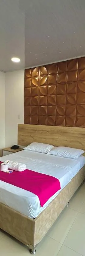 HOTEL VIOLETTA Cereté，位于Cereté的酒店