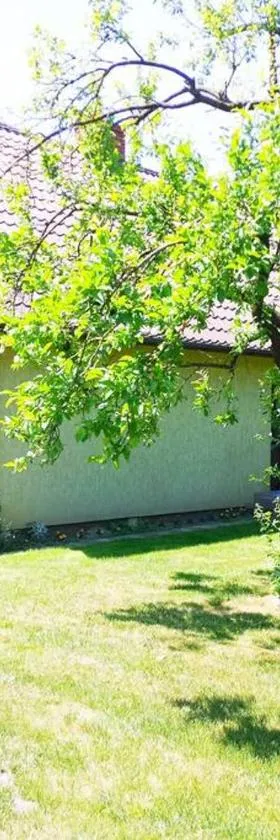 Domek u Czesi，位于Podbiele的酒店