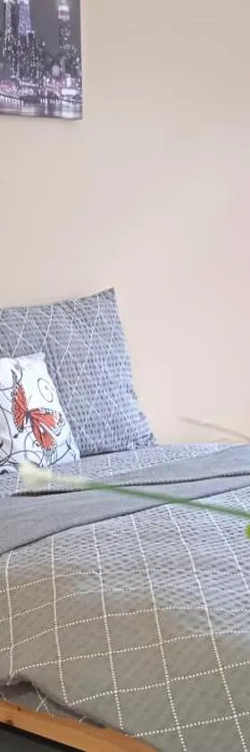 Apartmány Ledeč，位于萨扎瓦河畔莱代奇的酒店