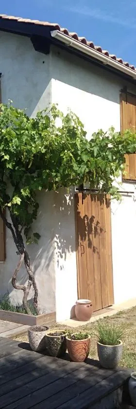 La Maison du Béchon，位于布朗屈埃福尔的酒店