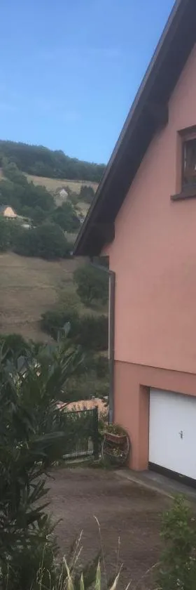 entre vignes et montagnes chambres，位于弗瑞兰的酒店