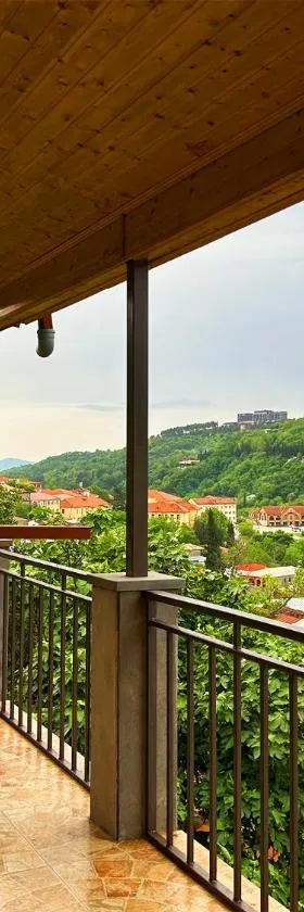 Hotel VIM in Sighnaghi，位于西格纳吉的酒店