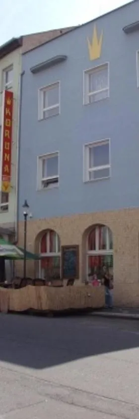捷克克朗酒店，位于拉贝河畔罗乌德尼采的酒店