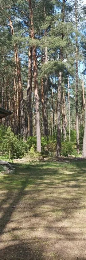 Fantastyczny domek w lesie，位于Długosiodło的酒店
