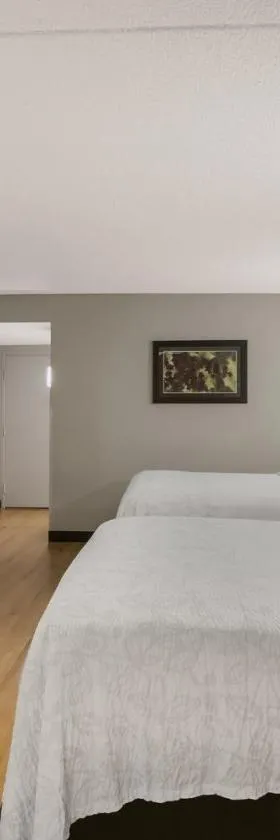 Red Roof Inn PLUS+ & Suites Knoxville West - Cedar Bluff，位于诺克斯维尔的酒店
