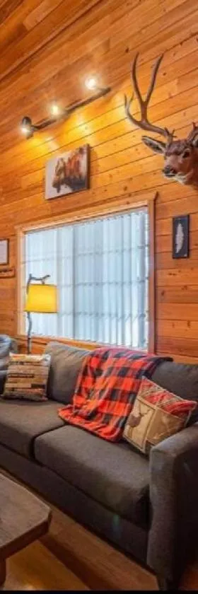 Cabin #1 Buffalo Herd -Pet Friendly - Sleeps 6 - Playground & Game Room，位于佩森的酒店