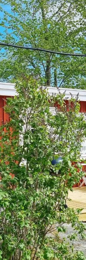 4 person holiday home in GRISSLEHAMN-By Traum，位于格里斯勒港的酒店