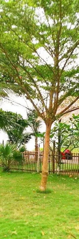 Koh Phaluai beach cottage，位于Koh Phaluai的酒店